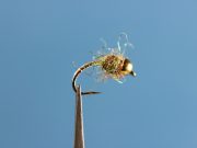 Guard's Mirage Nymph