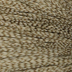 Whiting Dun Grizzly Hackle