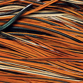 Whiting Furnace Hackle