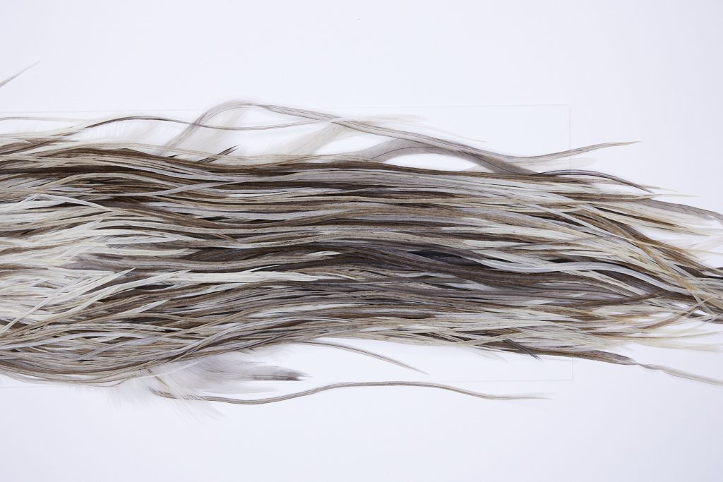 116 - JimsFlyCo Dry Fly Hackle, Variant #3 Grade Rooster Saddle, Ties Sizes 12-14