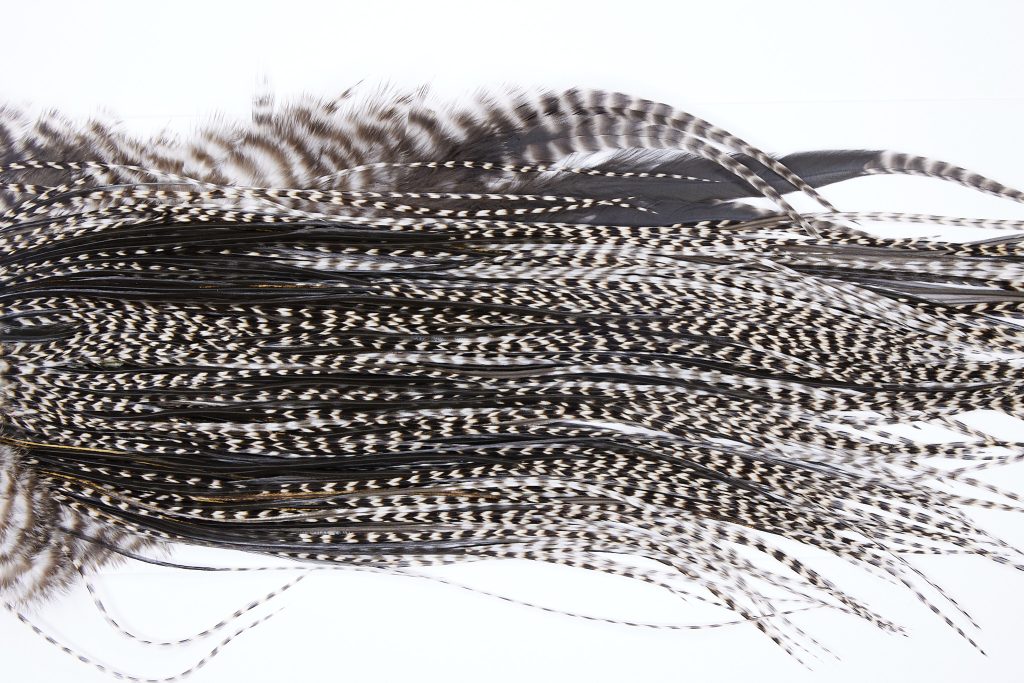 16 - JimsFlyCo Dry Fly Hackle, Grizzly Variant #2 Grade Rooster Saddle, Ties Sizes 14-16