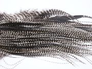 16 - JimsFlyCo Dry Fly Hackle, Grizzly Variant #2 Grade Rooster Saddle, Ties Sizes 14-16