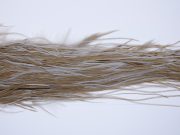 217 - JimsFlyCo Dry Fly Hackle, Medium Dun #2 Grade Rooster Saddle, Ties Sizes 12-14