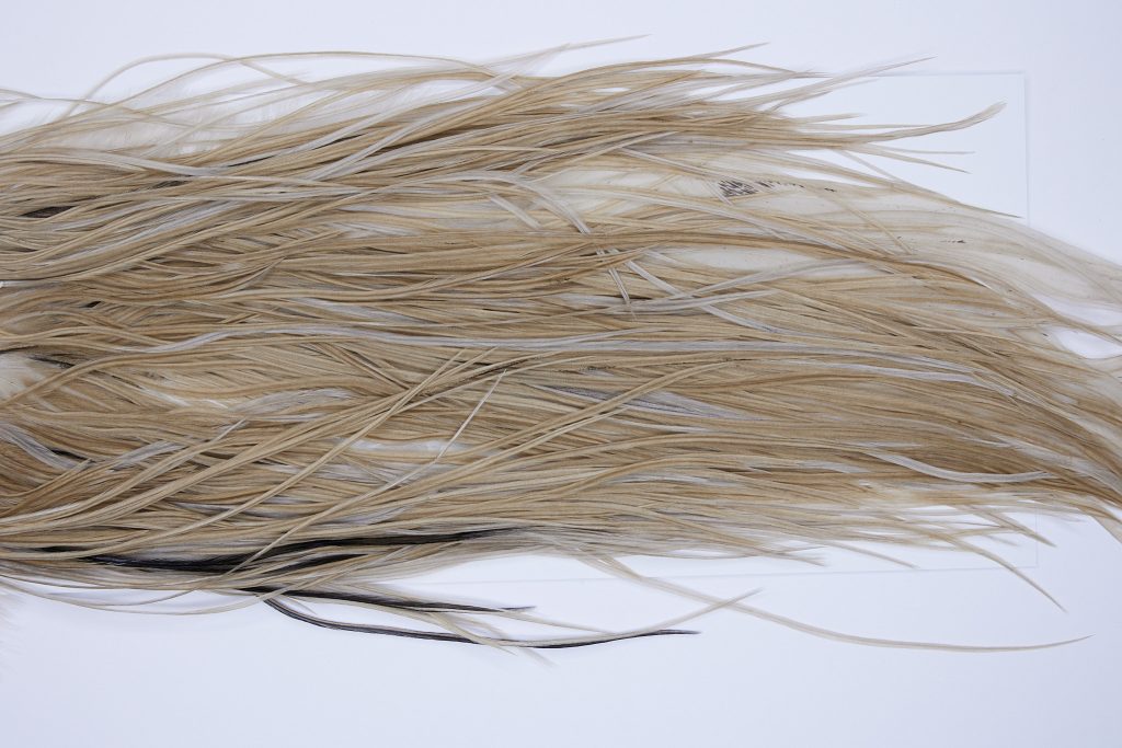 223 - JimsFlyCo Dry Fly Hackle, Medium Dun #2 Grade Rooster Saddle, Ties Sizes 14-16