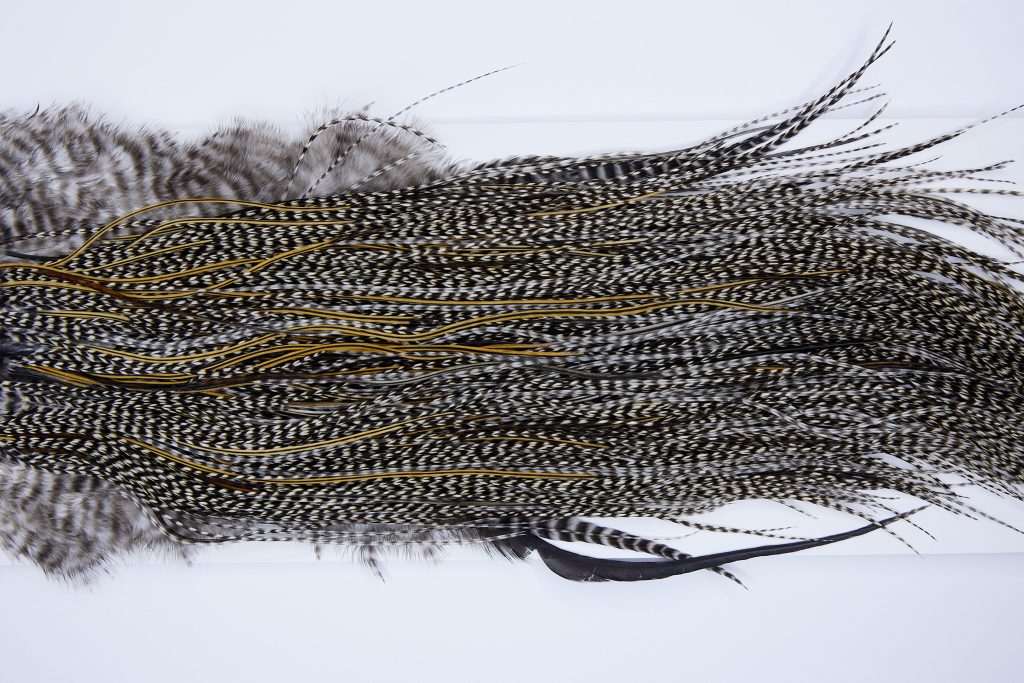 273 - Heritage Dry Fly Hackle, Grizzly Variant #3 Grade Rooster Saddle, Ties Sizes 14-18