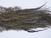 273 - Heritage Dry Fly Hackle, Grizzly Variant #3 Grade Rooster Saddle, Ties Sizes 14-18