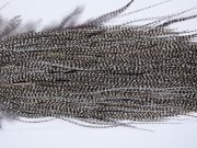 274 - Heritage Dry Fly Hackle, Grizzly Variant #3 Grade Rooster Saddle, Ties Sizes 14-16