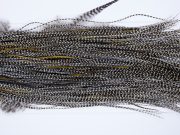 275 - Heritage Dry Fly Hackle, Grizzly Variant #3 Grade Rooster Saddle, Ties Sizes 14-16