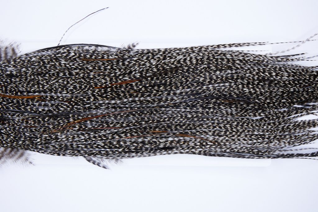 467 - Heritage Dry Fly Hackle, Grizzly Variant #2 Grade Rooster Saddle, Ties Sizes 10-16