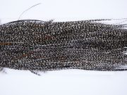 467 - Heritage Dry Fly Hackle, Grizzly Variant #2 Grade Rooster Saddle, Ties Sizes 10-16