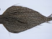 480 - Hebert Dry Fly Hackle, Dun Grizzly Bronze Grade Rooster Cape, Ties Sizes 10-22