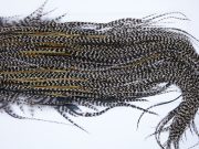 543 - Hebert Dry Fly Hackle, Grizzly Variant Silver Grade Rooster Saddle, Ties Sizes 14-16