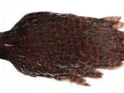 AHC-6758 American Hen Cape Grizzly dyed Coachman Brown