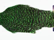 AHC-6759 American Hen Cape Grizzly dyed Highlander Green