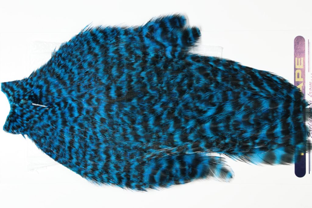 AHC-6760 American Hen Cape Grizzly dyed Kingfisher Blue