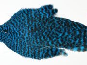 AHC-6760 American Hen Cape Grizzly dyed Kingfisher Blue