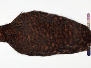 AHC-6762 American Hen Cape Grizzly dyed Brown