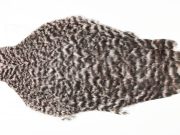 AHC-6763 American Hen Cape Grizzly dyed Shell Pink