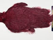 AHC-6769 American Hen Cape White dyed Claret