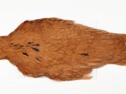 AHC-6771 American Hen Cape White dyed Brown