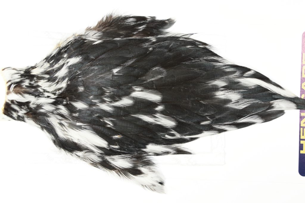 AHC-6780 American Hen Cape Variant