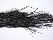 70 - JimsFlyCo Dry Fly Hackle, Variant #1 Grade Rooster Saddle, Ties Sizes 12-14