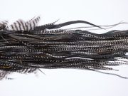 71 - JimsFlyCo Dry Fly Hackle, Variant #1 Grade Rooster Saddle, Ties Sizes 12-14