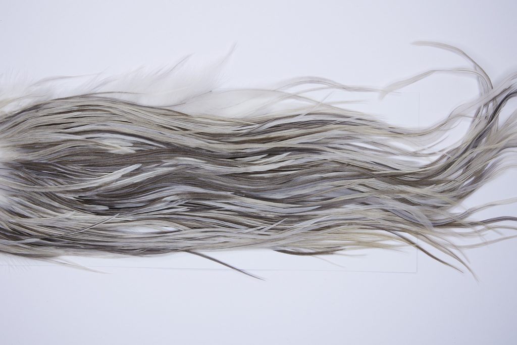 74 - JimsFlyCo Dry Fly Hackle, Variant #1 Grade Rooster Saddle, Ties Sizes 12-14