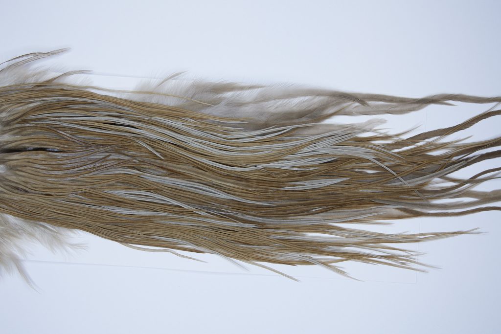 9362 - JimsFlyCo Dry Fly Hackle, Medium Dun #2 Grade Rooster Saddle, Ties Sizes 12-14