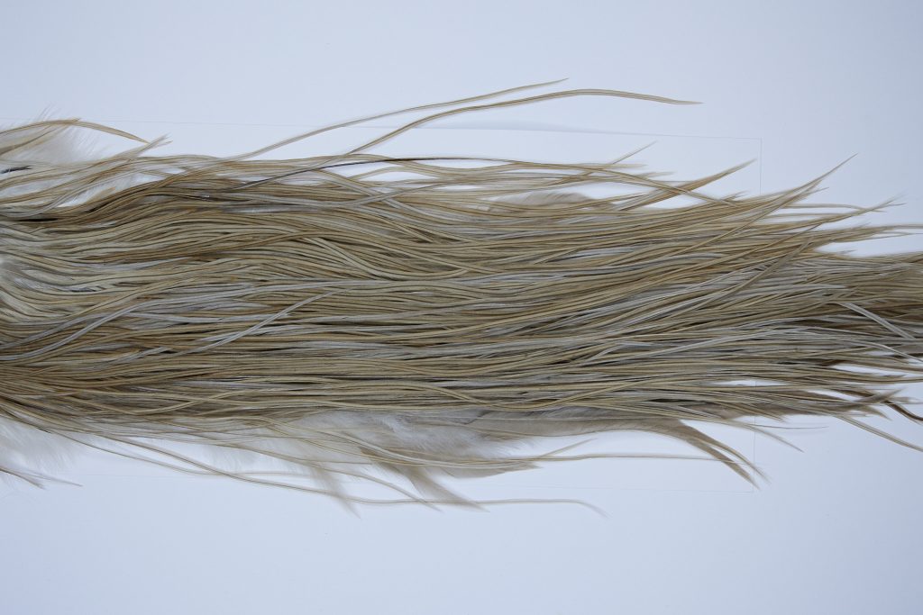 9365 - JimsFlyCo Dry Fly Hackle, Medium Dun #2 Grade Rooster Saddle, Ties Sizes 14-16