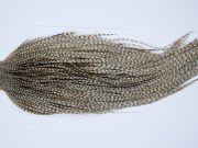 9381-JimsFlyCo Dry Fly Hackle, Grizzly Dun Variant Rhodium Grade Rooster Cape, Ties Sizes 10-24