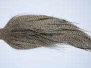 9383-JimsFlyCo Dry Fly Hackle, Grizzly Dun Variant Rhodium Grade Rooster Cape, Ties Sizes 10-24