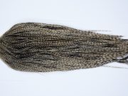 9388 - JimsFlyCo Dry Fly Hackle, Grizzly Dun Variant #1 Grade Rooster Cape, Ties Sizes 12-24