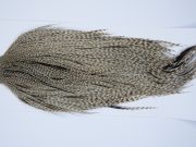 9390 - JimsFlyCo Dry Fly Hackle, Grizzly Dun Variant #1 Grade Rooster Cape, Ties Sizes 12-24