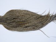 9391 - JimsFlyCo Dry Fly Hackle, Grizzly Dun Variant #1 Grade Rooster Cape, Ties Sizes 10-24