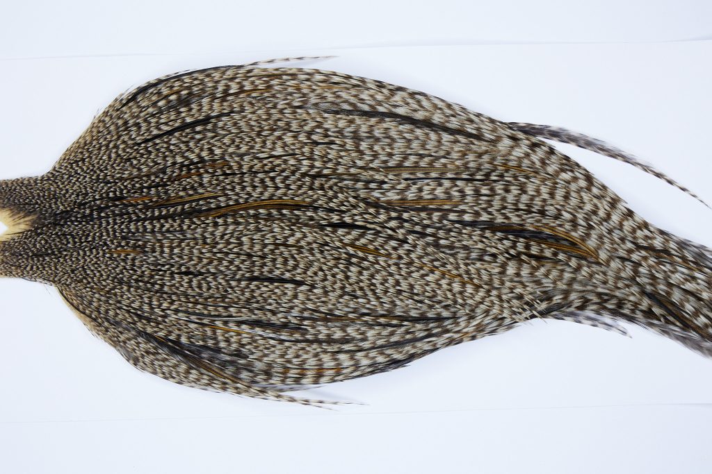 9392 - JimsFlyCo Dry Fly Hackle, Grizzly Dun Variant #1 Grade Rooster Cape, Ties Sizes 10-24