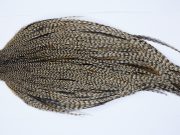 9392 - JimsFlyCo Dry Fly Hackle, Grizzly Dun Variant #1 Grade Rooster Cape, Ties Sizes 10-24