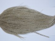 9394 - JimsFlyCo Dry Fly Hackle, Grizzly Dun Variant #1 Grade Rooster Cape, Ties Sizes 12-22