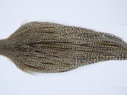 9395 - JimsFlyCo Dry Fly Hackle, Grizzly Dun Variant #1 Grade Rooster Cape, Ties Sizes 10-22