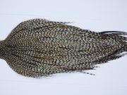 9401 - JimsFlyCo Dry Fly Hackle, Grizzly Dun Variant #1 Grade Rooster Cape, Ties Sizes 10-22