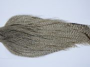 9402 - JimsFlyCo Dry Fly Hackle, Grizzly Dun Variant #1 Grade Rooster Cape, Ties Sizes 10-22