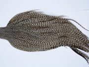 9403 - JimsFlyCo Dry Fly Hackle, Grizzly Dun Variant #1 Grade Rooster Cape, Ties Sizes 10-22