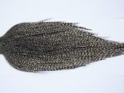 9405 - JimsFlyCo Dry Fly Hackle, Grizzly Dun Variant #1 Grade Rooster Cape, Ties Sizes 10-22