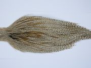 9406 - JimsFlyCo Dry Fly Hackle, Grizzly Dun Variant #1 Grade Rooster Cape, Ties Sizes 10-22