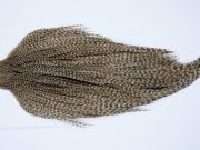9409 - JimsFlyCo Dry Fly Hackle, Grizzly Dun Variant #1 Grade Rooster Cape, Ties Sizes 12-24
