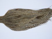 9412 - JimsFlyCo Dry Fly Hackle, Grizzly Dun Variant #1 Grade Rooster Cape, Ties Sizes 10-24