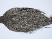 9415 - JimsFlyCo Dry Fly Hackle, Grizzly Dun Variant #1 Grade Rooster Cape, Ties Sizes 10-22