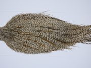 9417 - JimsFlyCo Dry Fly Hackle, Grizzly Dun Variant #1 Grade Rooster Cape, Ties Sizes 10-24