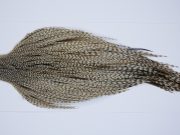 9419 - JimsFlyCo Dry Fly Hackle, Grizzly Dun Variant #1 Grade Rooster Cape, Ties Sizes 8-22