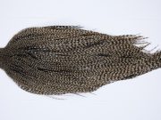 9422 - JimsFlyCo Dry Fly Hackle, Grizzly Dun Variant #1 Grade Rooster Cape, Ties Sizes 10-24